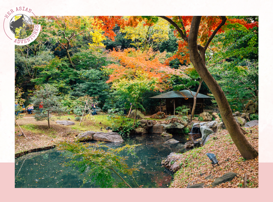 her asian adventure, Japan fall foliage