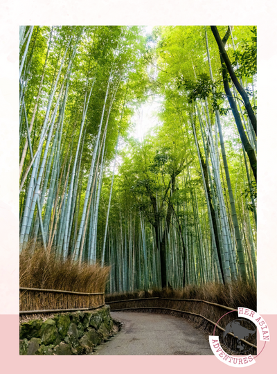 her asian adventure, Japan bamboo