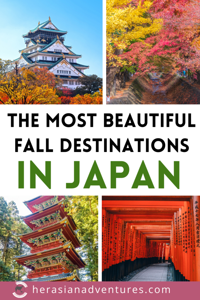 Her Asian Adventures. Travel Japan in the fall. Japan photo ideas. Japan photography. Japan places to visit. Autumn vibes. Fall aesthetic. Fall things to do. Holiday family photos.