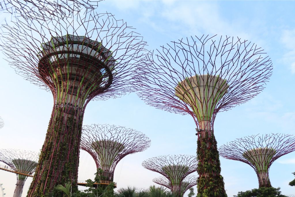 Standing tall against the sky, the Supertrees at Singapore’s Gardens by the Bay look like something out of a sci-fi movie. These eco-marvels are part of the city’s focus on sustainable urban living—an effort supported by strict environmental laws in Singapore that tourists and locals alike must respect.