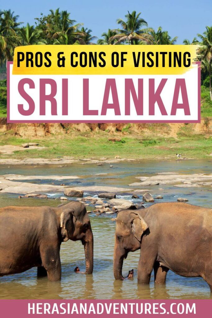 Pros and Cons of Visiting Sri Lanka with a photo of elephants bathing, highlighting both the benefits and drawbacks of choosing Sri Lanka as a travel destination