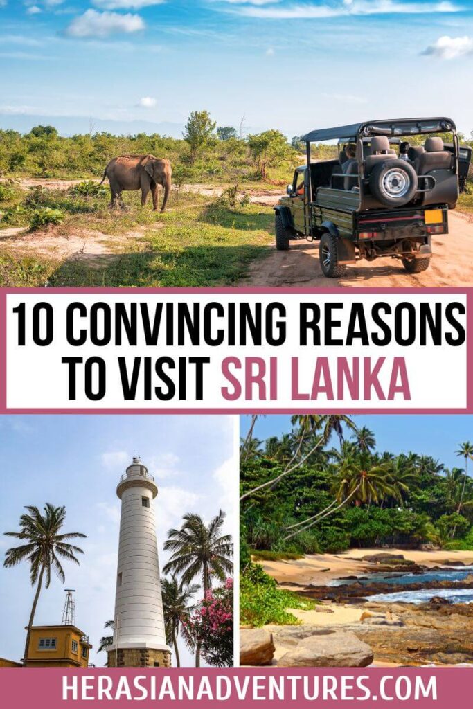 10 Convincing Reasons to Visit Sri Lanka showing a wildlife safari with an elephant and a lighthouse near the beach, presenting strong reasons why Sri Lanka is worth visiting