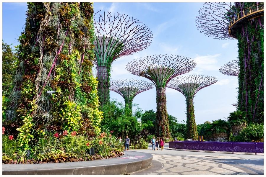 gardens by the bay is top thing to do in singapore.