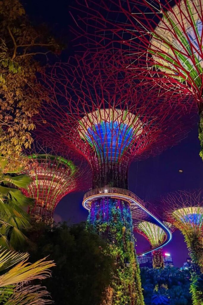 Tall Supertrees wrapped in greenery glow with rainbow lights against the night sky during the Gardens by the Bay light show. Garden Rhapsody combines music and lights, making this one of the best free light shows in Singapore.