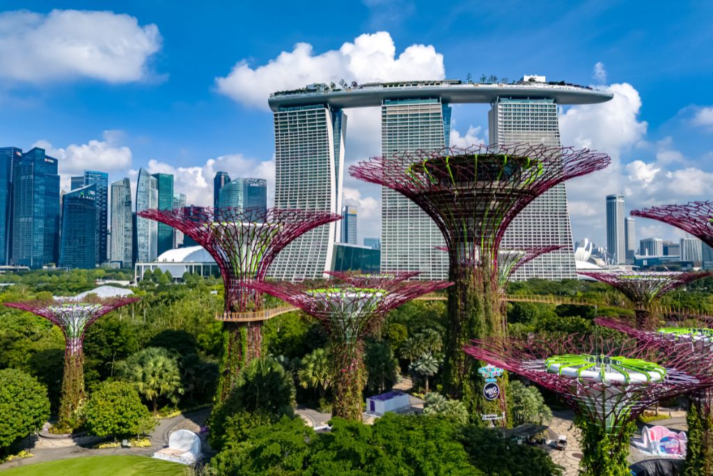 Daytime aerial view of the Supertree Grove surrounded by greenery, with Marina Bay Sands and the Singapore skyline rising in the background. This scenic landmark is the setting for the famous Gardens by the Bay light show and one of the most iconic attractions in Singapore.