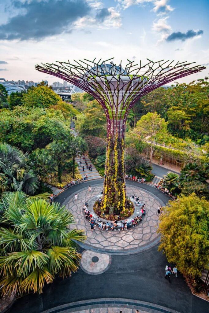 Bird’s-eye view of a single Supertree in the center of a circular plaza, surrounded by lush foliage and visitors preparing to watch the Gardens by the Bay light show. Garden Rhapsody draws crowds to this peaceful yet vibrant nighttime event in Singapore.