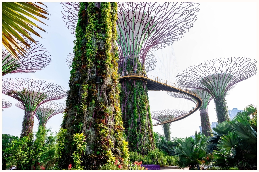 Things to know singapore | What to know about singapore | First time in singapore | Things to know when traveling to singapore | Thing to know before moving to singapore | Singapore travel tips | Is singapore safe | Nearby places to visit from singapore | Tips for traveling alone in singapore