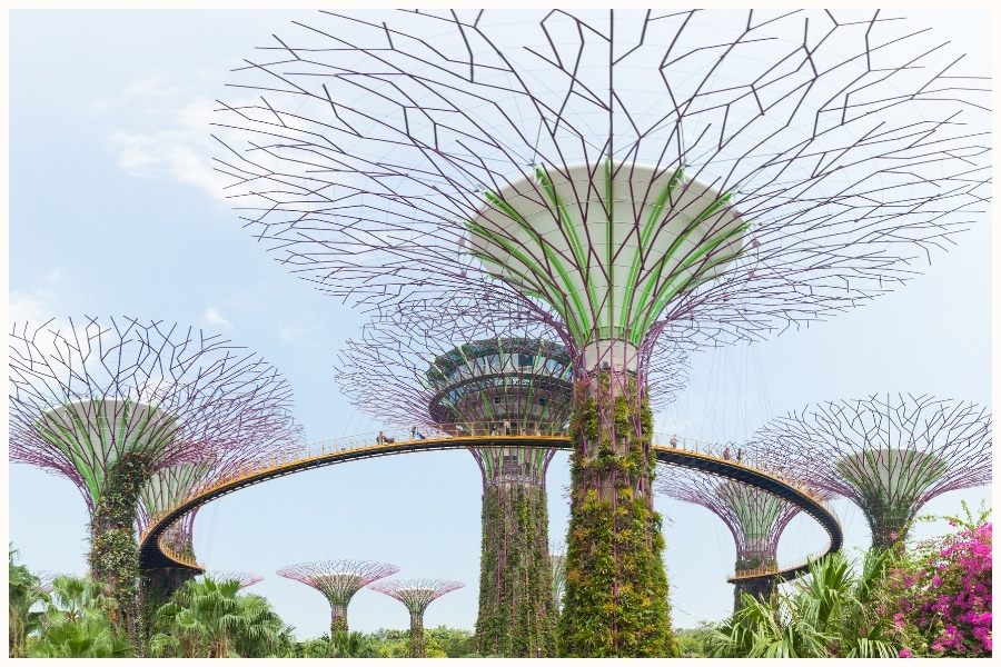 The futuristic Supertree Grove at Gardens by the Bay in Singapore. The best time to fly to Singapore is during the dry season for the best experience.