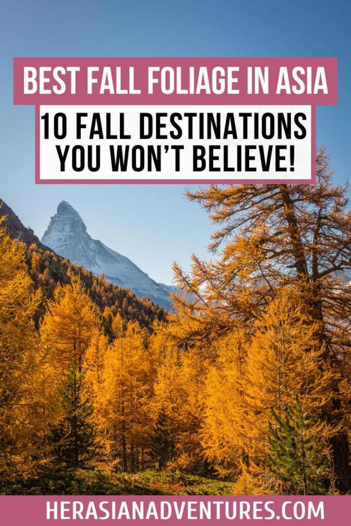 A mountain backdrop framed by golden autumn trees and the text "Best Fall Foliage in Asia - 10 Fall Destinations You Won’t Believe!" Ideal for those planning fall vacations in Asia, showcasing breathtaking autumn colors and landscapes.