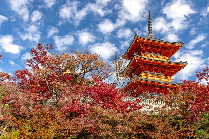 A scenic view of Kiyomizu-dera temple in Kyoto, Japan, surrounded by vibrant red and orange autumn foliage, under a bright blue sky with scattered clouds. This iconic temple is one of the best fall destinations in Asia, making it an essential stop on any fall travel itinerary for those seeking fall colors in Asia.