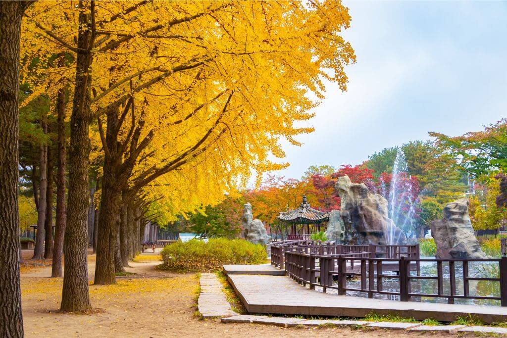 A picturesque walkway in Seoul, South Korea, lined with brilliant yellow ginkgo trees in full autumn bloom. The path leads to a peaceful pond with a wooden bridge, making Seoul a perfect fall destination in Asia for travelers seeking to experience the vibrant fall foliage and nature’s beauty during autumn in Asia.