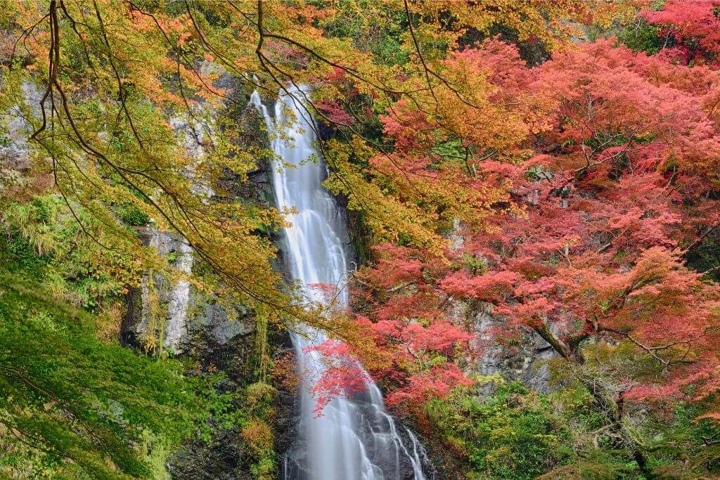 A peaceful waterfall cascades down the rocks, surrounded by orange and red autumn foliage in Japan. A hidden gem for fall foliage photography, capturing the breathtaking landscapes and the beauty of mother nature in fall.