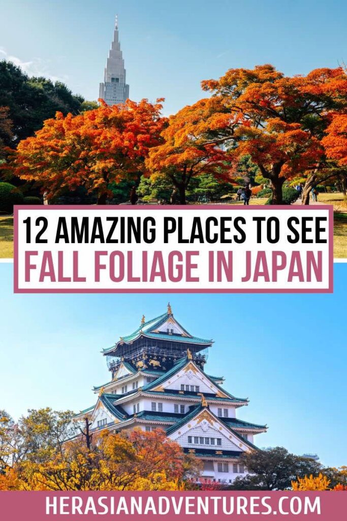 Two beautiful views of Japan’s fall foliage, with vibrant orange trees under a clear sky and the Osaka Castle framed by autumn leaves. This is a perfect spot for fall foliage photography, leaf-peeping, and exploring Japan during the fall season.