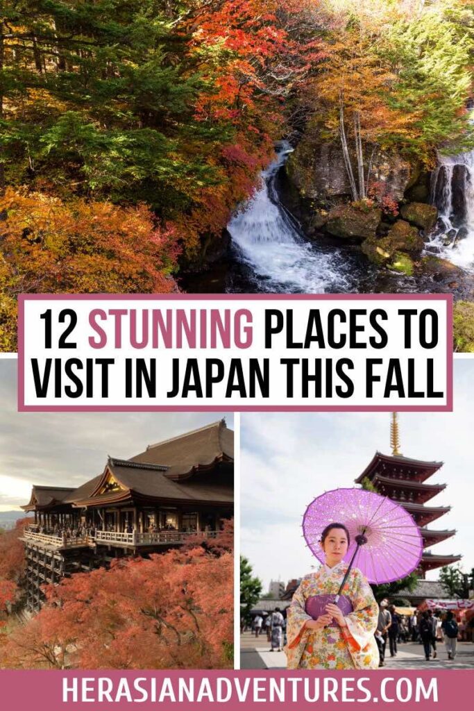 A compilation of stunning fall scenes in Japan, featuring a waterfall surrounded by fall colors, Kiyomizu Temple amidst autumn foliage, and a woman in traditional attire with a pagoda in the background. Ideal for cultural trips and fall photography in Japan.