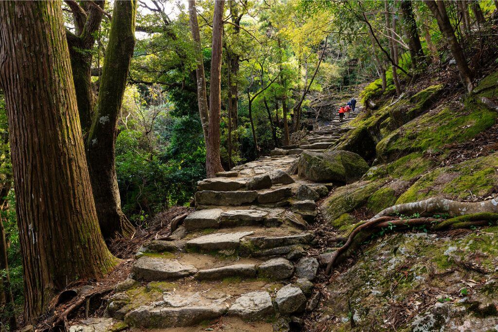 A stone pathway winding through a lush green forest, with moss-covered rocks and tall trees in Japan. This serene hiking trail is a perfect fall getaway, offering incredible views of nature and a peaceful atmosphere.