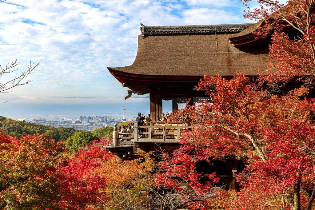 A scenic view from Kiyomizu Temple in Kyoto, Japan, with vibrant red and orange autumn leaves framing the city below. This must-see fall destination offers stunning autumn landscapes, making it a perfect spot for photography and cultural exploration.