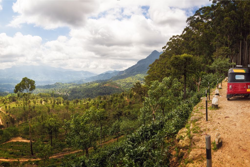 A red tuk tuk drives along a scenic dirt road surrounded by lush greenery in Sri Lanka, perfect for adventure travel. Renting a tuk tuk is one of the best ways to travel around Sri Lanka, especially for those seeking stunning landscapes.