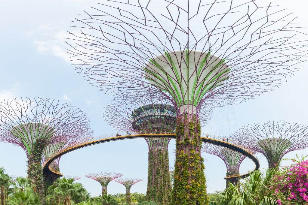 The towering Supertree structures at Gardens by the Bay, Singapore, connected by an elevated walkway. These iconic gardens are one of the key reasons people go to Singapore, making it worth visiting for nature lovers and architecture enthusiasts alike.