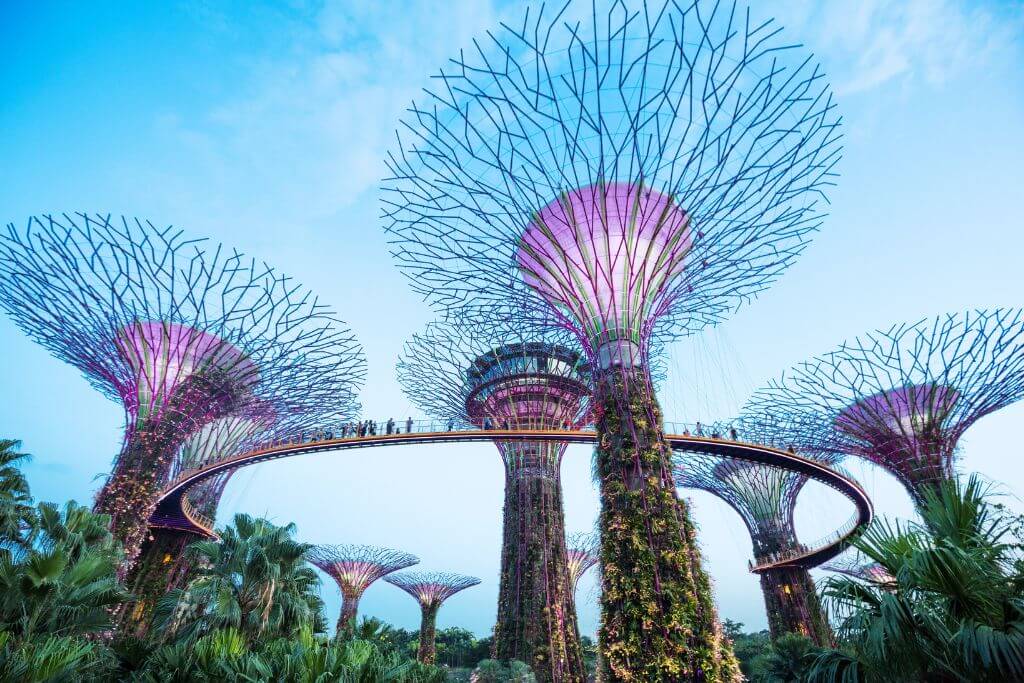 Towering Supertrees and the curved OCBC Skyway stretch above lush greenery at Gardens by the Bay in daylight. Visiting these iconic vertical gardens is a top reason why Singapore is worth seeing and a favorite stop on any Singapore vacation.