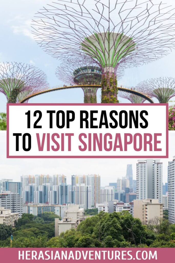 Pinterest graphic featuring Supertrees and a city skyline with the overlaid text “12 Top Reasons to Visit Singapore.” This image highlights popular Singapore landmarks and offers travel inspiration for those asking is Singapore worth visiting.