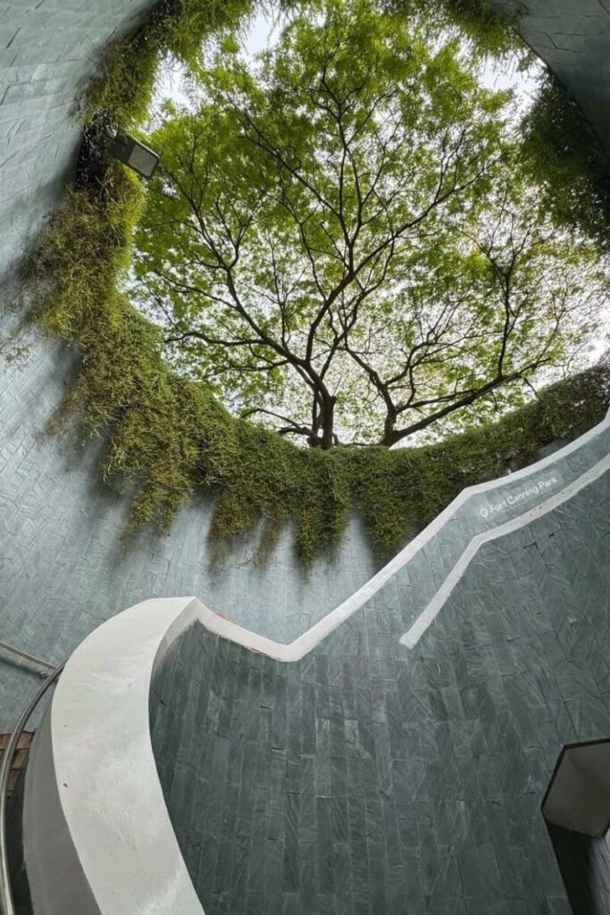 Looking up from the curved spiral staircase at Fort Canning Park, a tree canopy opens above with greenery cascading over stone walls. Peaceful parks like this are underrated reasons why Singapore is worth visiting in August or any season.