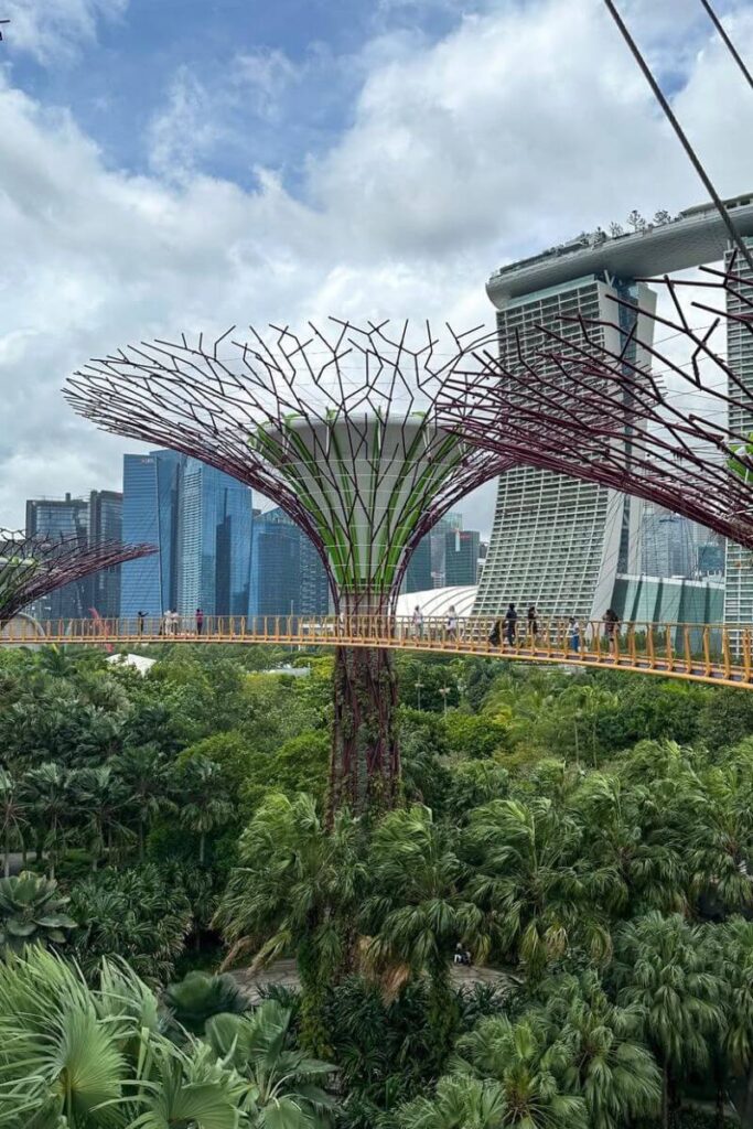 The OCBC Skyway stretches between towering Supertrees at Gardens by the Bay, with Marina Bay Sands rising behind and city skyscrapers in the distance. Walking this suspended path is a unique reason why people travel to Singapore, and it's perfect for those wondering if Singapore is worth visiting with kids or for a scenic experience.