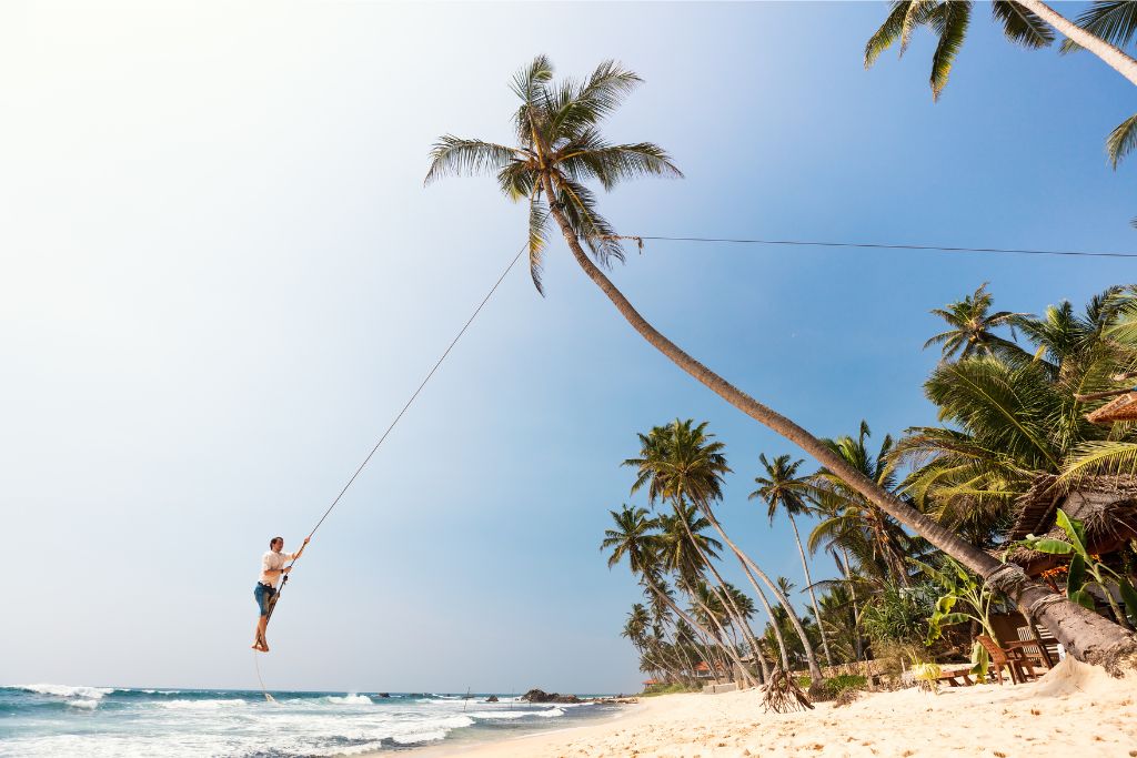 Person swinging from a palm tree over a sandy beach in Sri Lanka, with clear skies and palm trees, showcasing the best season to visit Sri Lanka for beach weather.