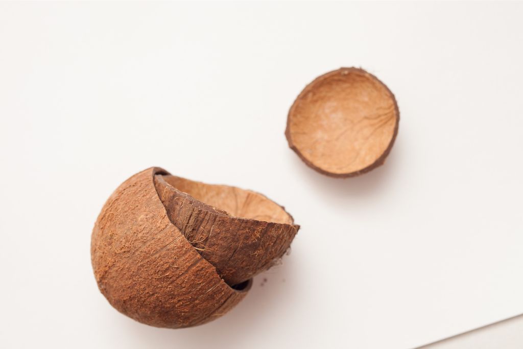 A minimalist coconut shell bowl split into two pieces, highlighting eco-friendly Sri Lankan craftsmanship. A sustainable and practical Sri Lanka gift perfect for conscious shoppers.