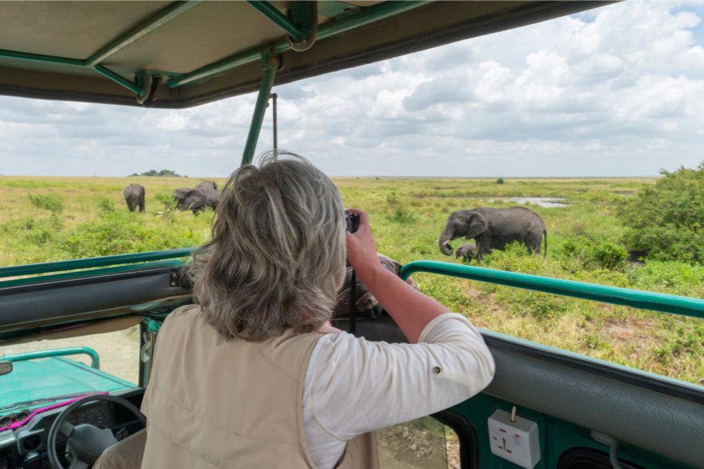 A traveler captures photos of wild elephants from a safari jeep in a grassy plain. Highlights safari outfits Sri Lanka and things to pack for wildlife travel.