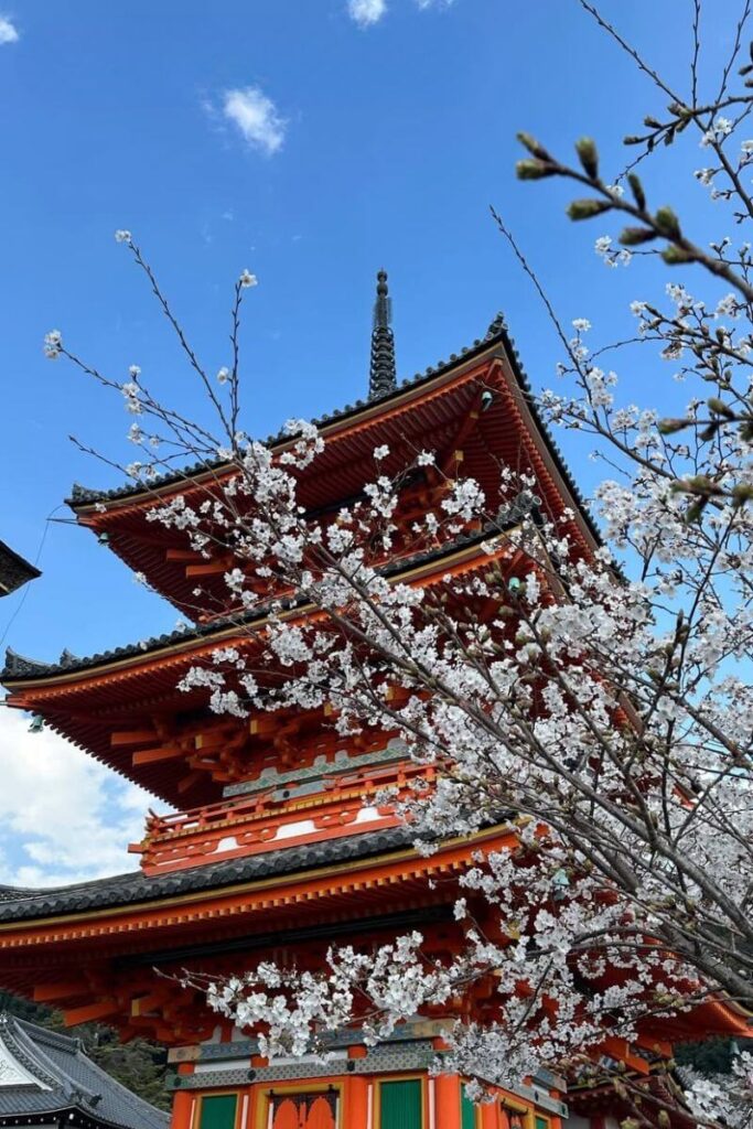 Cherry blossoms frame a red Japanese pagoda under a vivid blue sky in Kyoto. While spring is famous for sakura, Japan’s winter destinations also charm visitors with crisp air, snow-dusted temples, and seasonal festivals, making it perfect for Asia winter travel photography and culture.