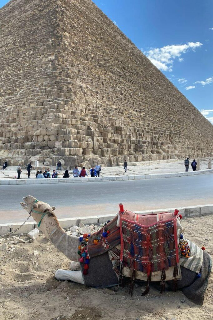 A close-up of the Great Pyramid of Giza, showing its massive stone blocks. In the foreground, a camel adorned with colorful decorations rests on the ground while tourists explore the site. A tour guide for Giza Pyramids can provide historical insights when visiting Giza Pyramids.