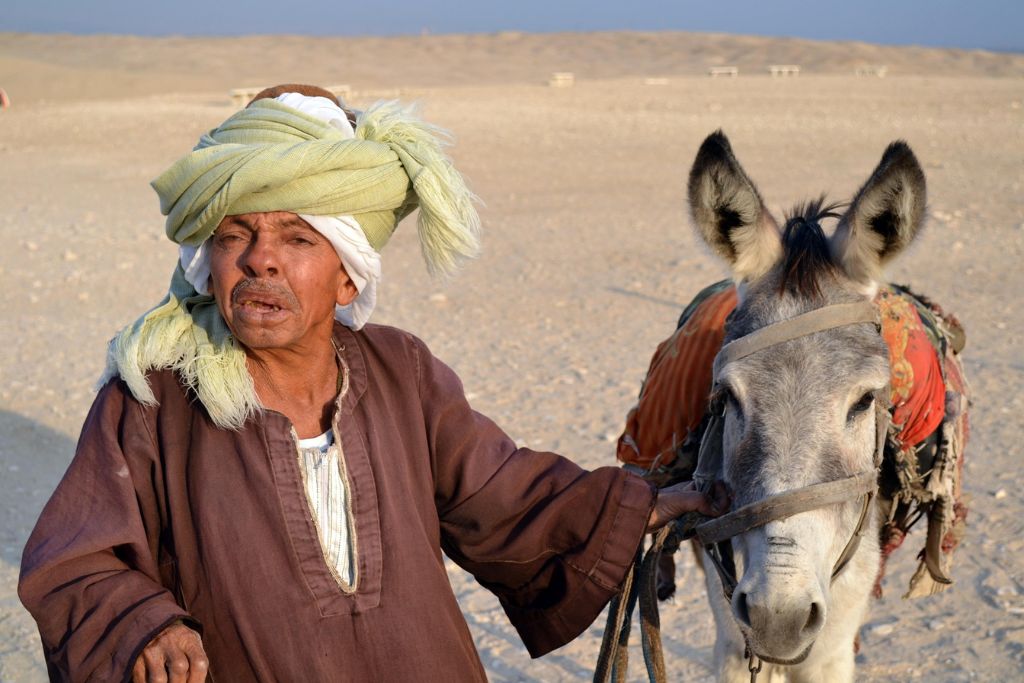 A local Egyptian man wearing a traditional headscarf stands beside his donkey in the desert. His face appears weathered from the sun as he gazes into the distance. This image captures a glimpse into the Pyramids of Giza reality, and the amount of Giza Pyramids scamms you will encounter.