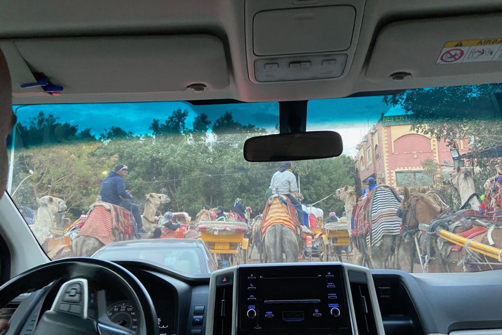 A view from inside a car looking at a busy street near the pyramids, filled with camels, horse-drawn carriages, and locals. This bustling scene is a common part of the Giza Pyramids reality, showcasing local transportation near the site.