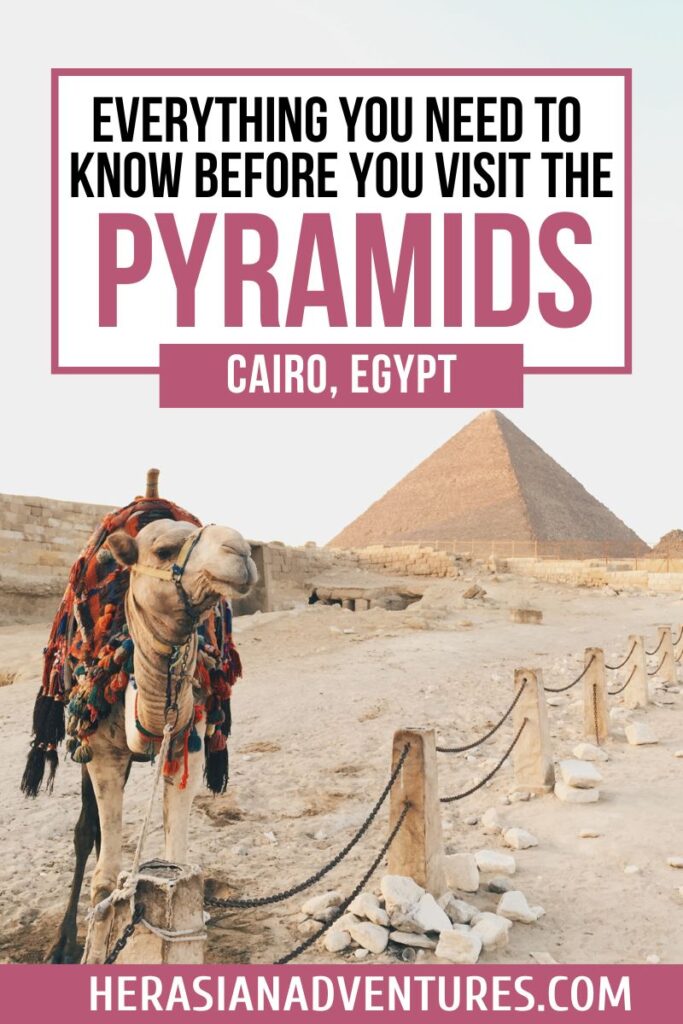 A travel guide-style image with bold text stating, “Everything You Need to Know Before You Visit the Pyramids – Cairo, Egypt.” A camel with colorful accessories stands in front of a pyramid. The image promotes helpful tips for visiting pyramids, including what to wear when visiting Giza Pyramids.