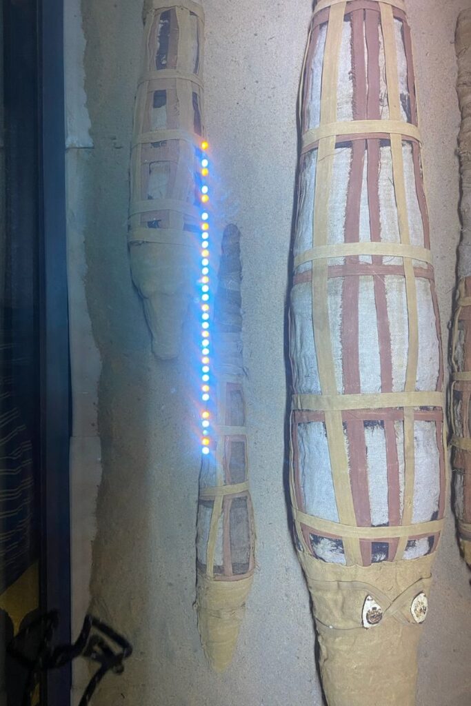Three ancient crocodile mummies wrapped in linen and displayed in a sandy museum setting, symbolizing Egypt’s reverence for Sobek, the crocodile headed Egyptian god of strength and protection.