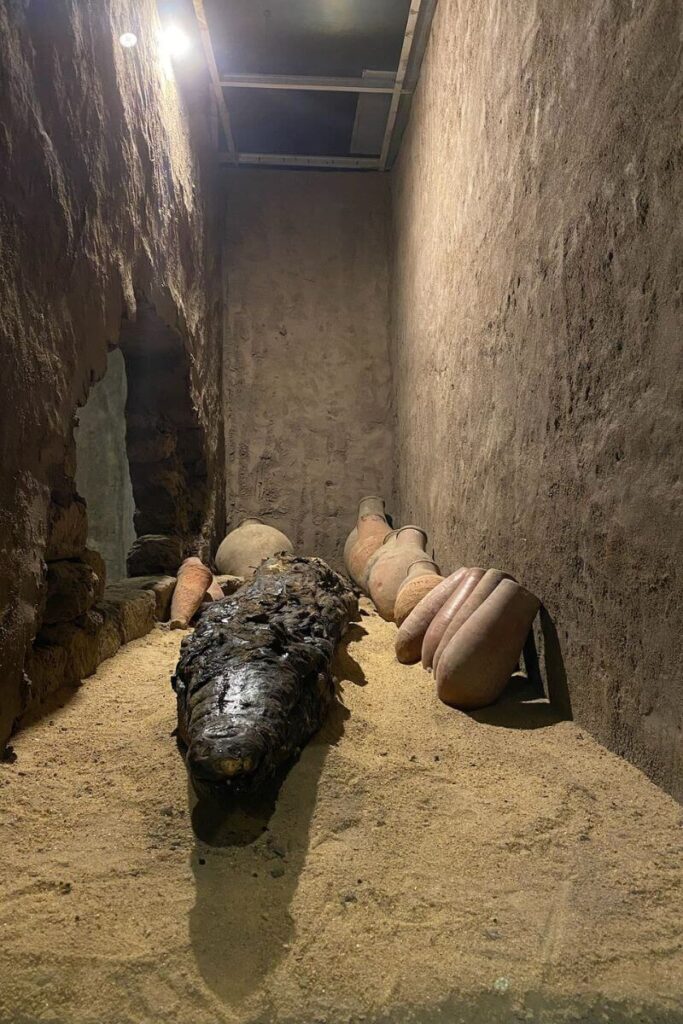 A mummified crocodile displayed in a recreated tomb chamber with clay jars nearby, showcasing ancient crocodile worship in Egypt tied to the crocodile headed god Sobek.