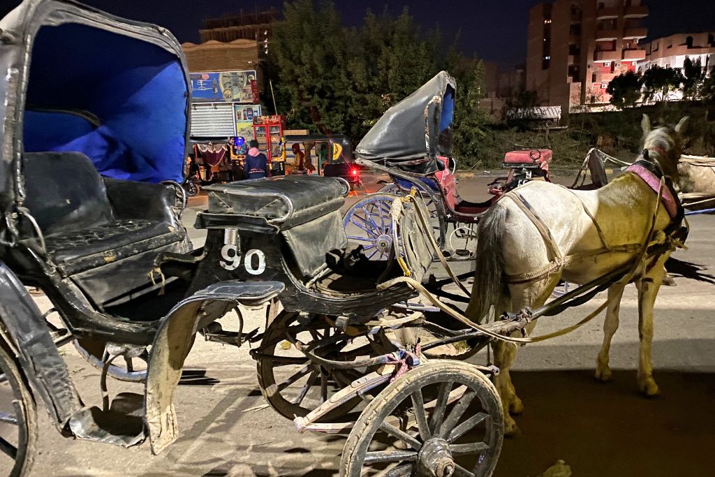 A traditional horse-drawn carriage parked on a dimly lit street in Egypt, showcasing the blend of old-world charm and urban life. A visual reminder of why to visit Egypt and what Egypt is like for a holiday.
