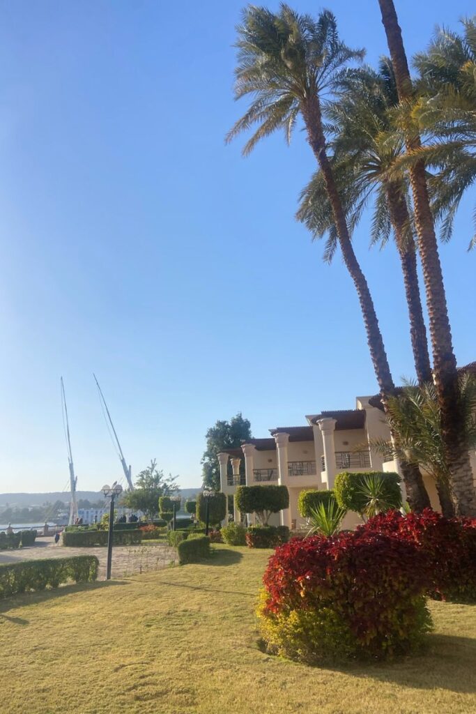 Lush garden scene with palm trees and colonial-style villas near the Nile River in Aswan, a relaxing setting that reflects the appeal of Aswan Egypt hotels and the best places to stay in Aswan.