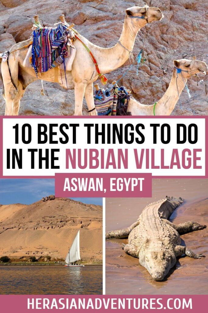 Two camels adorned with vibrant woven saddles rest near a desert hill in Aswan, Egypt. The overlay text says, "10 Best Things to Do in the Nubian Village – Aswan, Egypt," showcasing traditional transport and cultural experiences in the Nubian villages of southern Egypt.