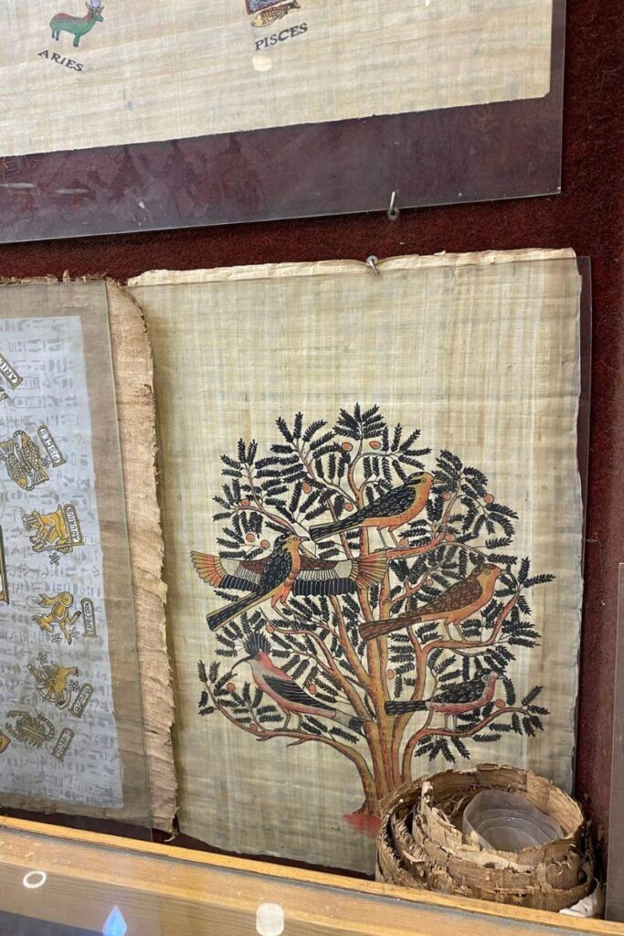 Framed papyrus artwork of a colorful tree with birds and nearby zodiac signs including "Aries" and "Pisces"—shopping for traditional papyrus art is one of the cultural Luxor things to do.