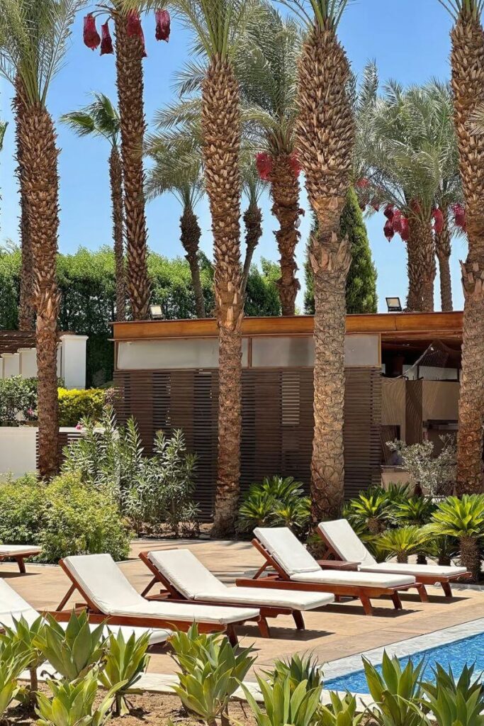 Row of cushioned sun loungers set beside a sparkling pool, surrounded by leafy green plants and tall date palms under clear blue skies. This peaceful area caters to families and solo travelers looking for laid-back places to stay in Luxor. The relaxed vibe makes it a great pick for those wondering where to stay in Luxor with kids or looking for poolside downtime.