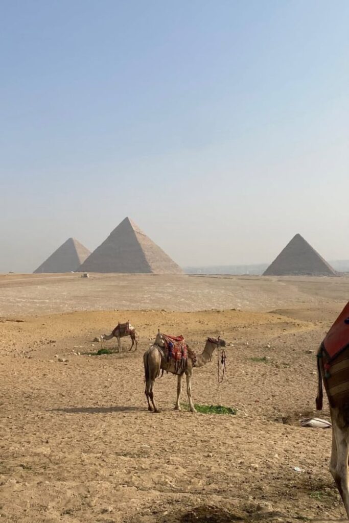 Camels in the foreground with the Pyramids of Giza rising behind them, one of the most famous Egypt landmarks. A must-see for anyone wondering what to visit in Egypt.