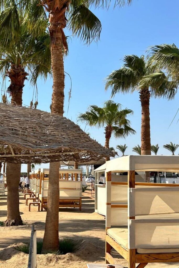 Palm tree-lined beach with rows of white canopy beds shaded by woven wooden roofs. A relaxing area at one of the best hotels in Hurghada Egypt all inclusive and perfect for both couples and families.