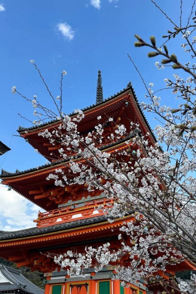 A traditional red pagoda in Japan framed by blossoming cherry trees under a bright blue sky. Ideal for content about solo female travel in Japan or best countries for solo female travel in spring.