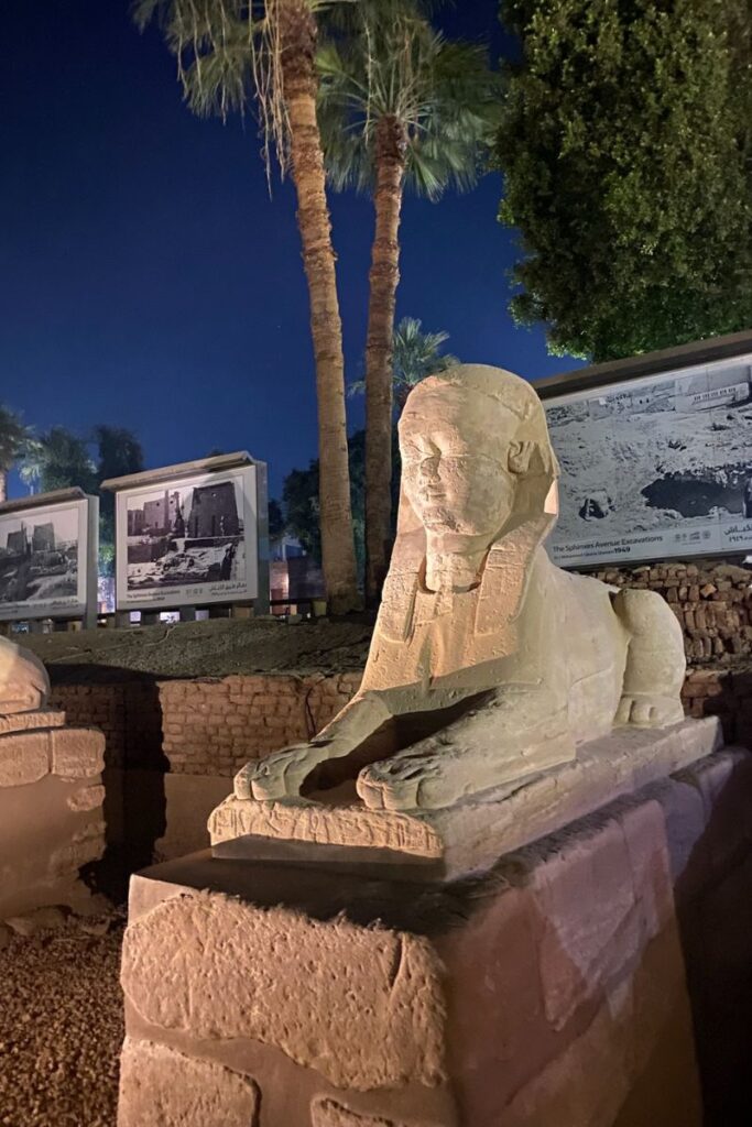 Illuminated sphinx statue at night with palm trees in the background, part of the Avenue of Sphinxes in Luxor, emphasizing iconic Egyptian temples along the Nile River.