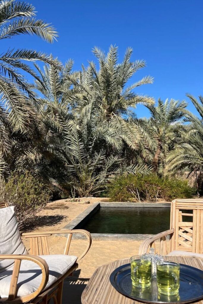 Secluded desert escape with a small pool, palm trees, and green tea served on a wooden tray under the sun. One of the safest places for solo female travelers to relax while visiting Egypt.