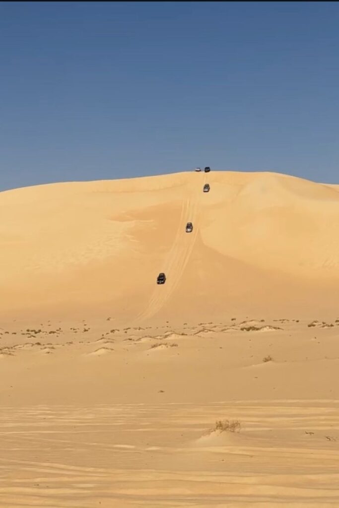 A row of 4x4 vehicles drives up a steep golden sand dune under a clear blue sky—highlighting the adventurous side of a Siwa Oasis tour or a desert safari during your Siwa Oasis trip.