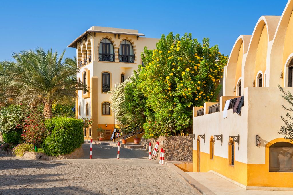 Sunlit street with palm trees, blooming bushes, and ochre-colored boutique hotels with arched windows. A serene spot that exemplifies boutique hotels in Hurghada Egypt and one of the best hotels in Hurghada Egypt for families.