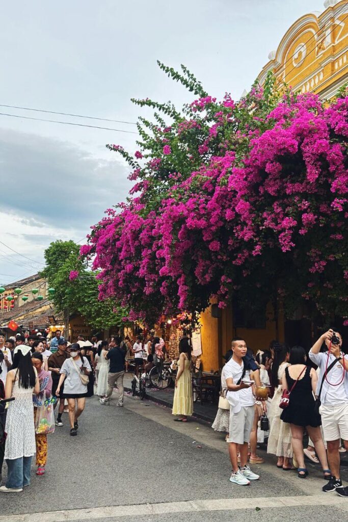 Tourists stroll beneath bright pink bougainvillea and yellow-walled buildings in the charming streets of Hoi An. Vietnam is a hot country in October and one of the best destinations in October for colorful culture, markets, and warm tropical weather.