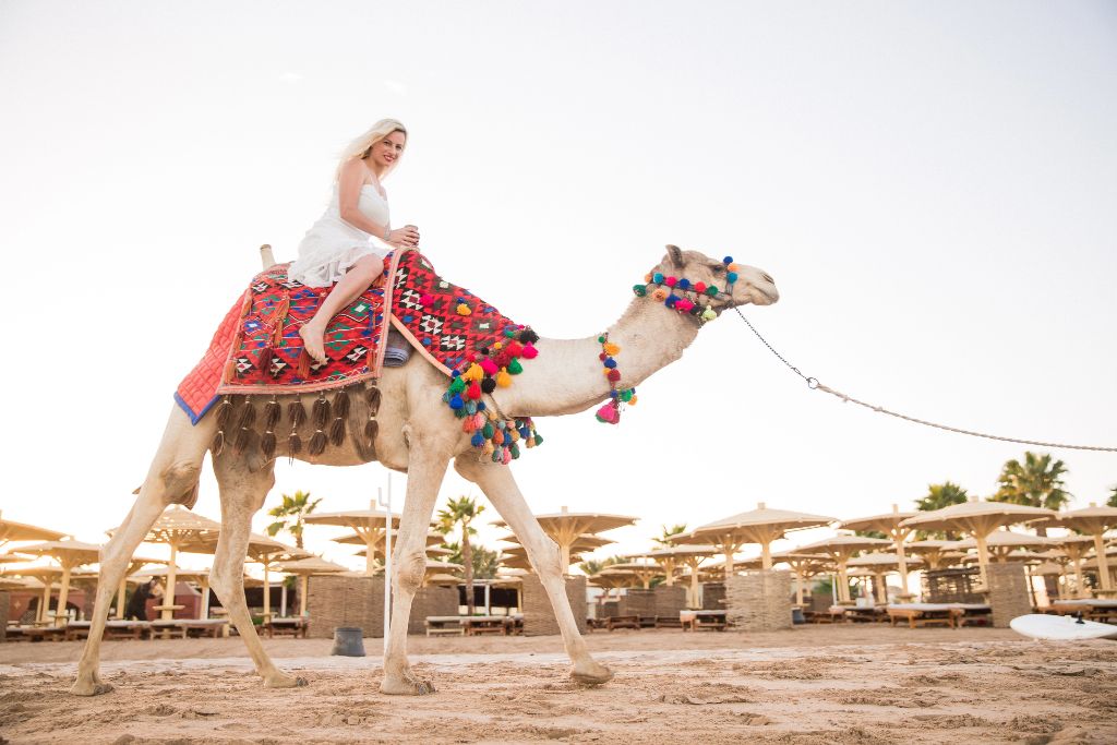 A woman in a white dress riding a colorfully adorned camel near a beachside resort in Egypt. This is one of the more unique experiences in Egypt and a fun activity to do in Egypt for travelers seeking something different.